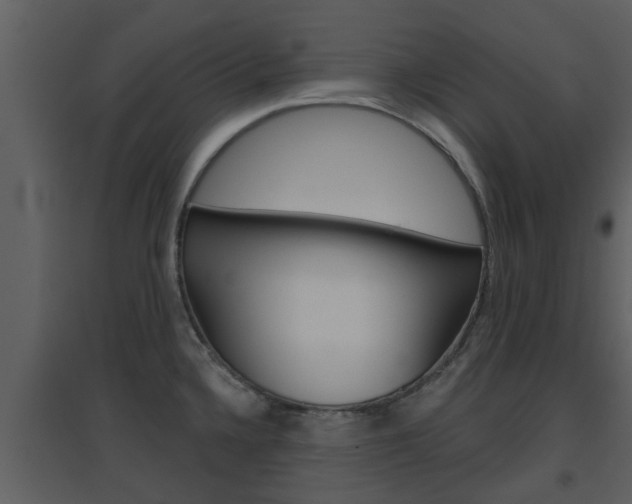 X0000094791336200711160907
