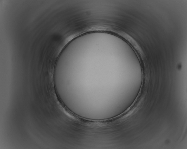 X0000094791337200711160907