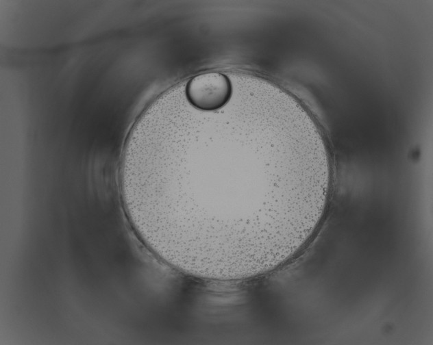 X0000094791338200711160907