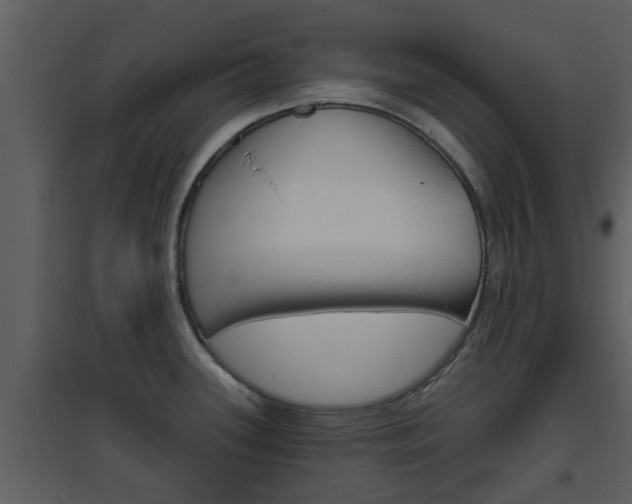 X0000094791339200711160907