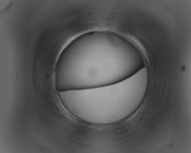 X0000094791340200711160907