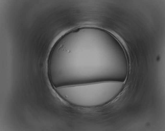 X0000094791341200711160907