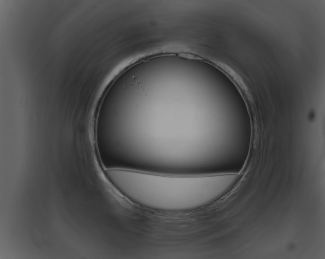 X0000094791342200711160907