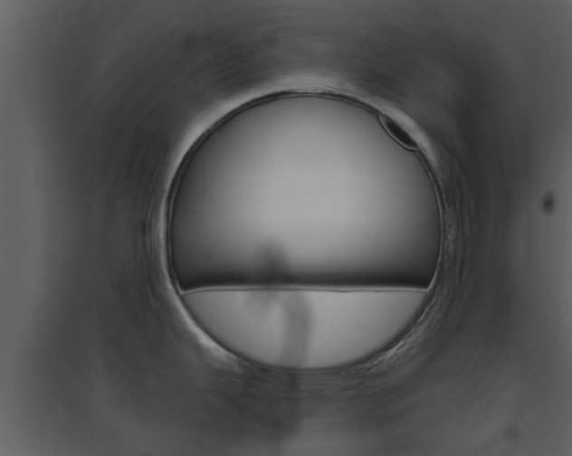 X0000094791343200711160907