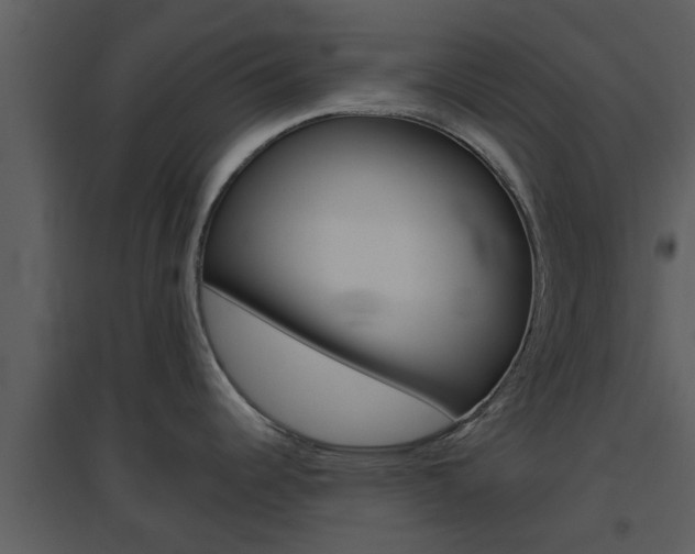 X0000094791344200711160907