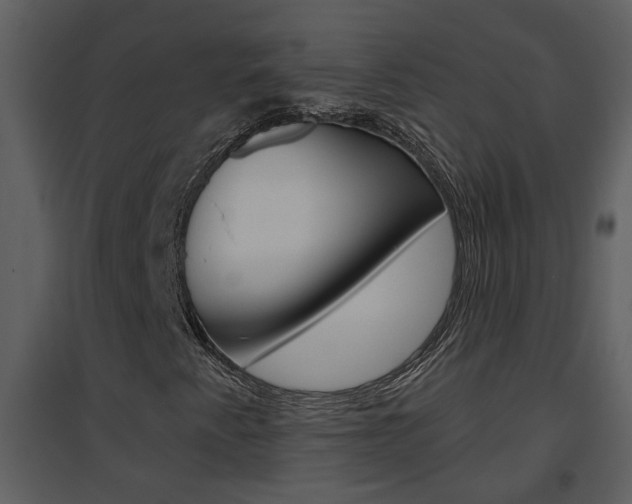 X0000094791345200711160907