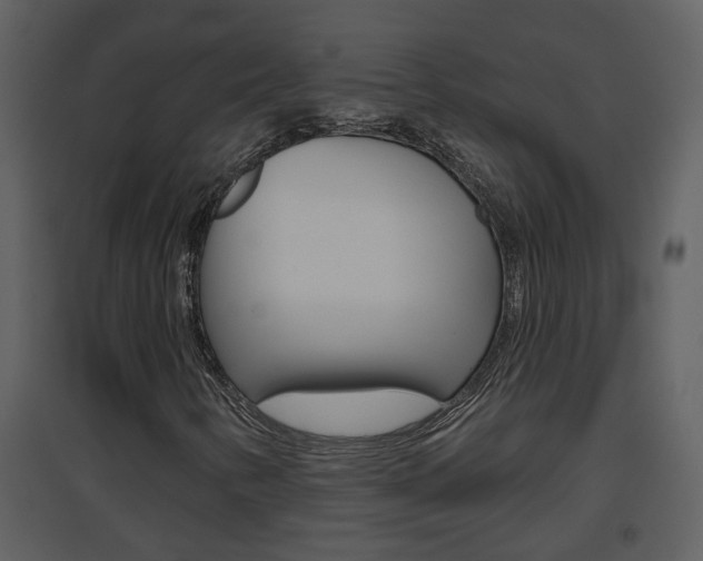 X0000094791346200711160907