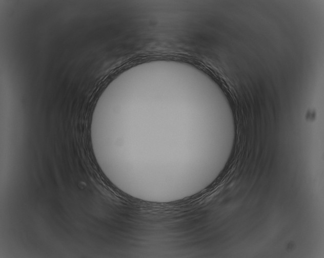 X0000094791348200711160906