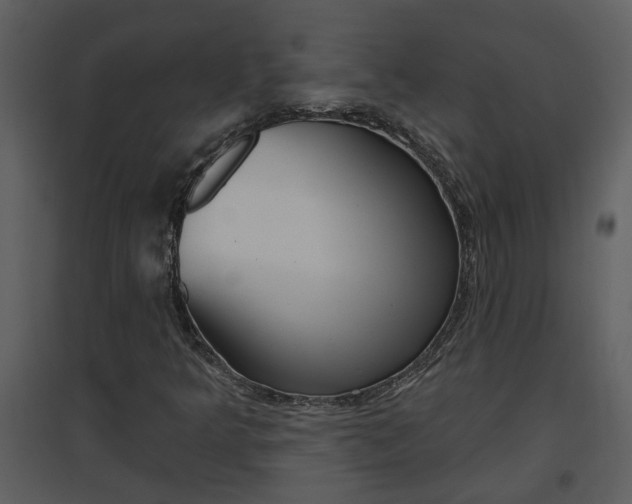 X0000094791349200711160906