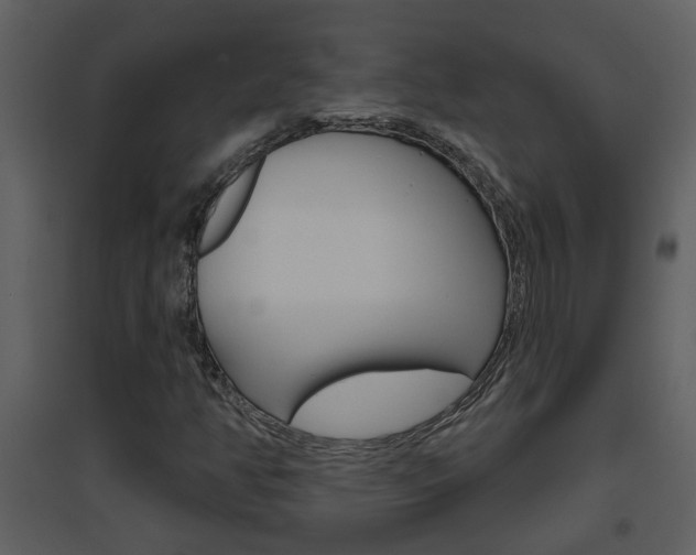 X0000094791350200711160906