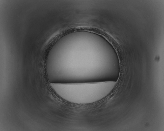 X0000094791351200711160906