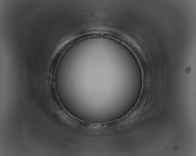 X0000094791352200711160906