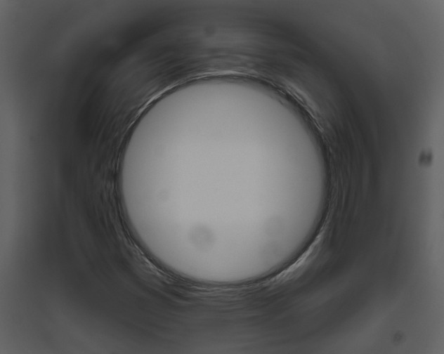 X0000094791353200711160906