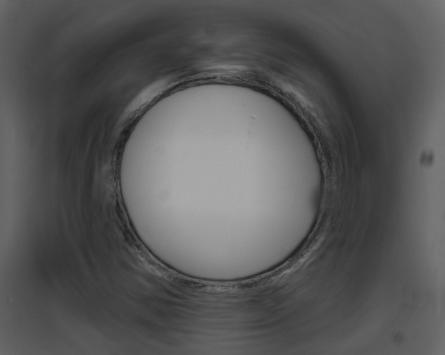 X0000094791354200711160906
