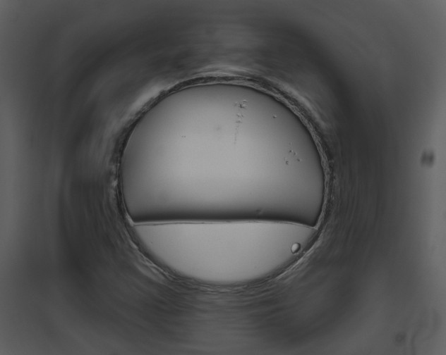 X0000094791355200711160906