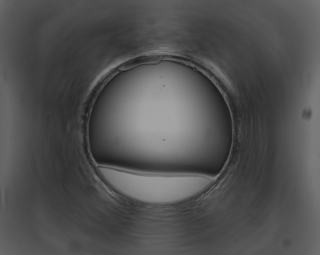 X0000094791356200711160906