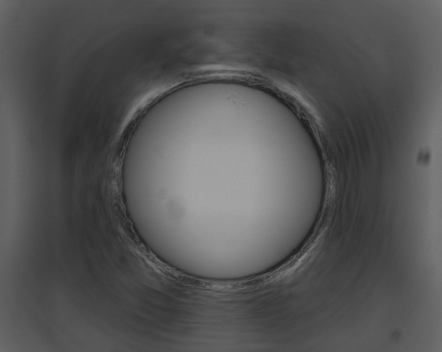 X0000094791357200711160906