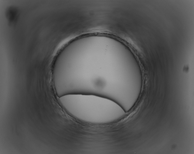 X0000094791358200711160906