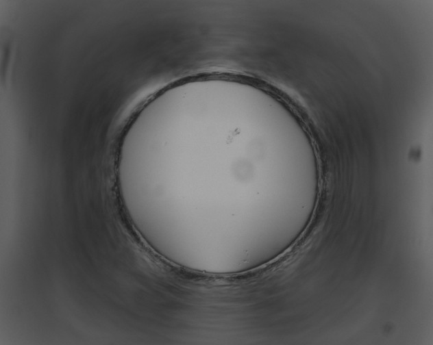 X0000094791359200711160906