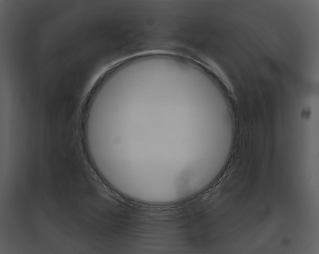 X0000094791360200711160906