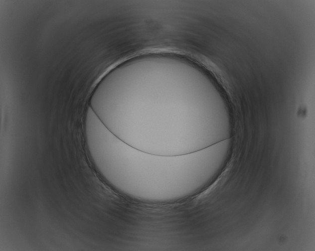 X0000094791361200711160906