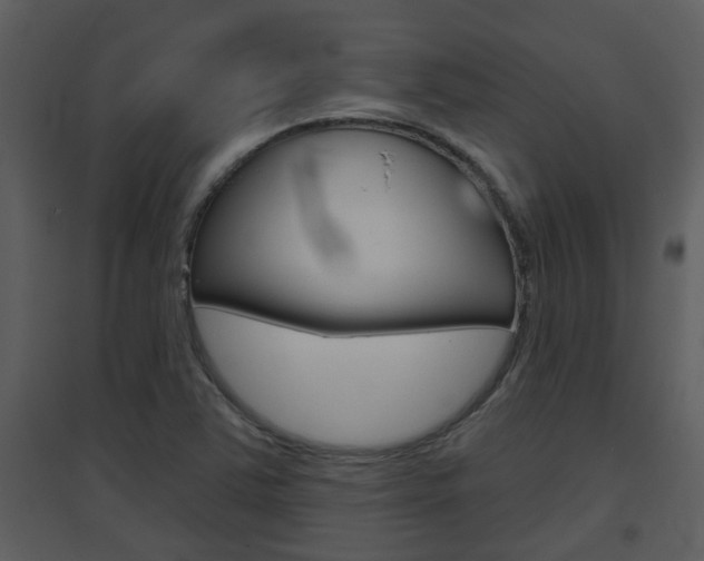 X0000094791363200711160906