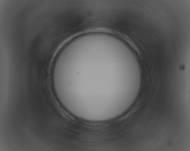 X0000094791364200711160906