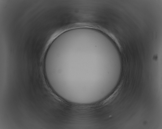 X0000094791365200711160906