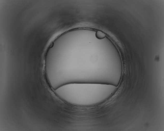 X0000094791366200711160906