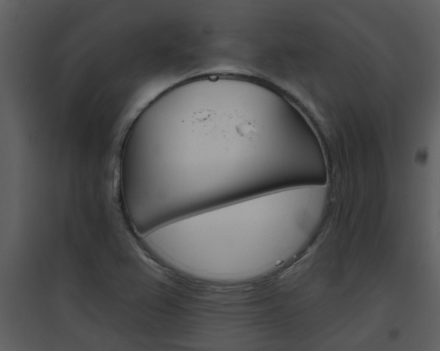 X0000094791367200711160906