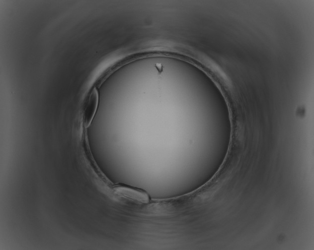 X0000094791368200711160906