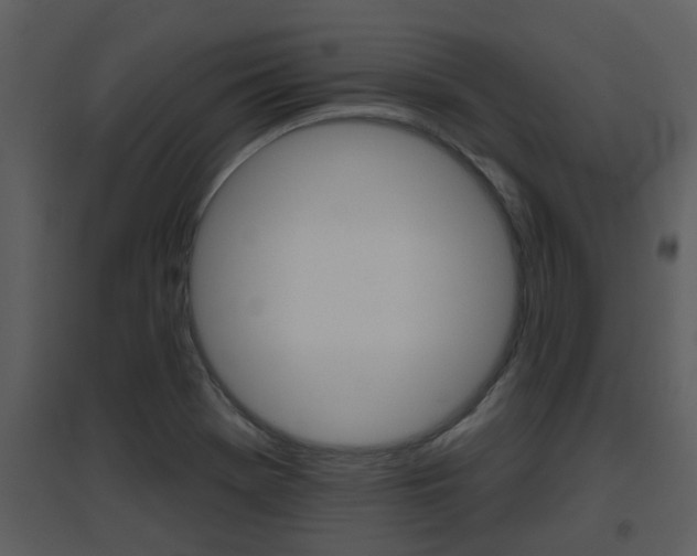 X0000094791369200711160906