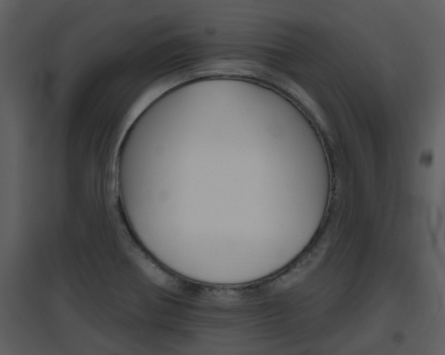 X0000094791370200711160906