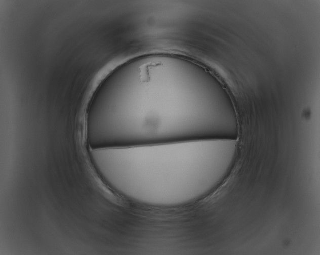 X0000094791371200711160906