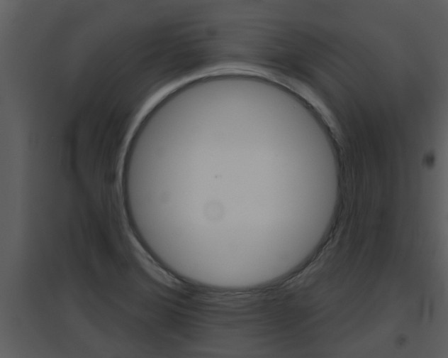 X0000094791372200711160906