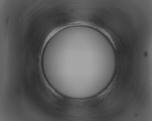 X0000094791373200711160906