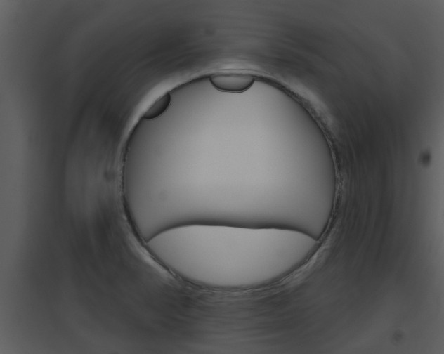 X0000094791374200711160906