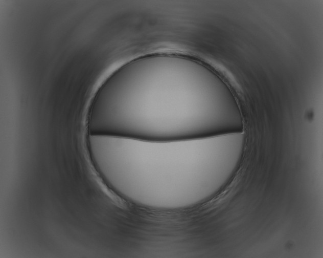 X0000094791375200711160906