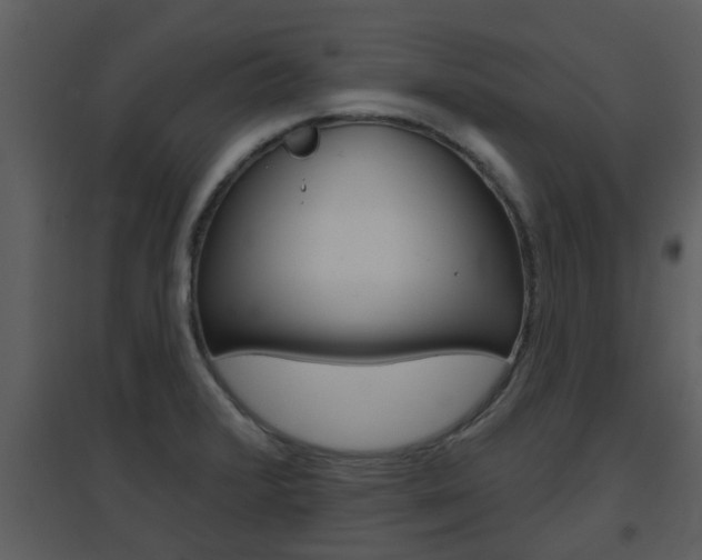 X0000094791376200711160906