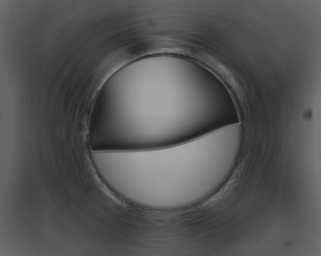 X0000094791377200711160906