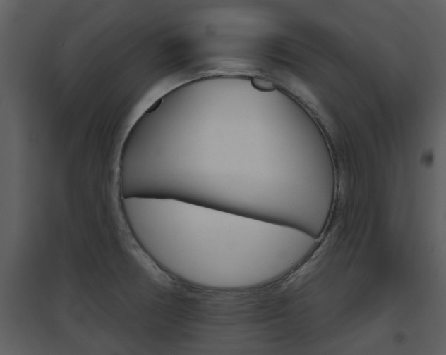 X0000094791378200711160906