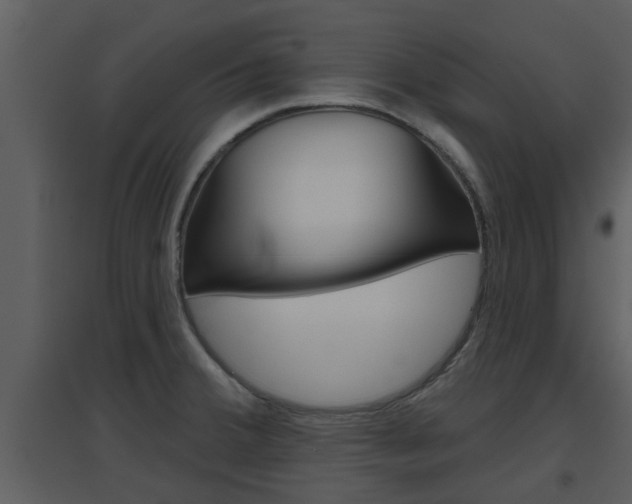 X0000094791380200711160906