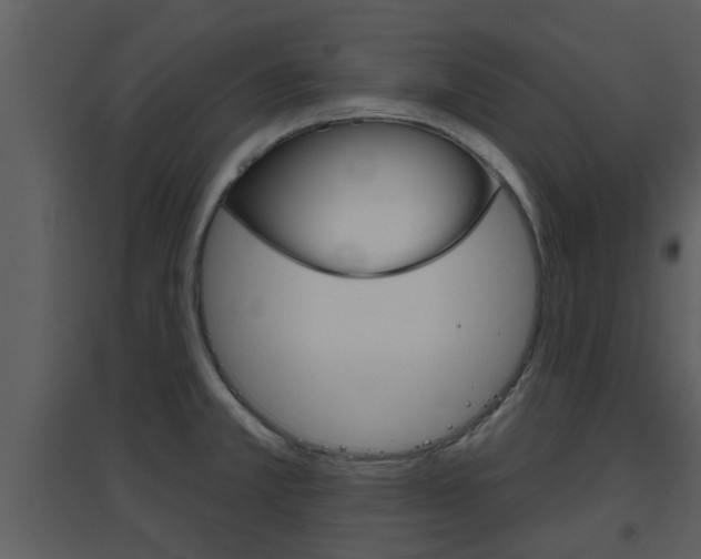 X0000094791381200711160906
