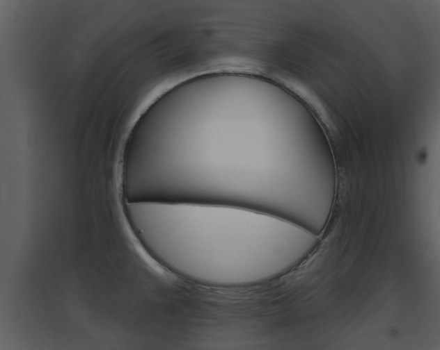 X0000094791383200711160906