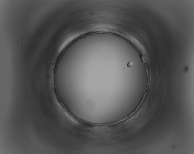 X0000094791384200711160906