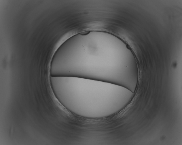 X0000094791386200711160906