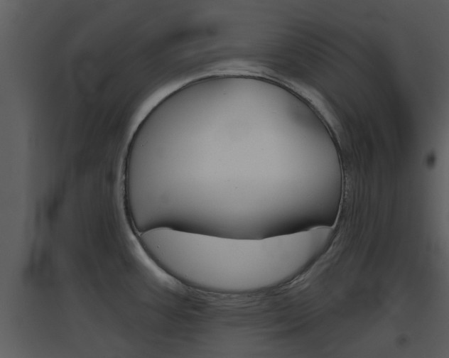 X0000094791387200711160906