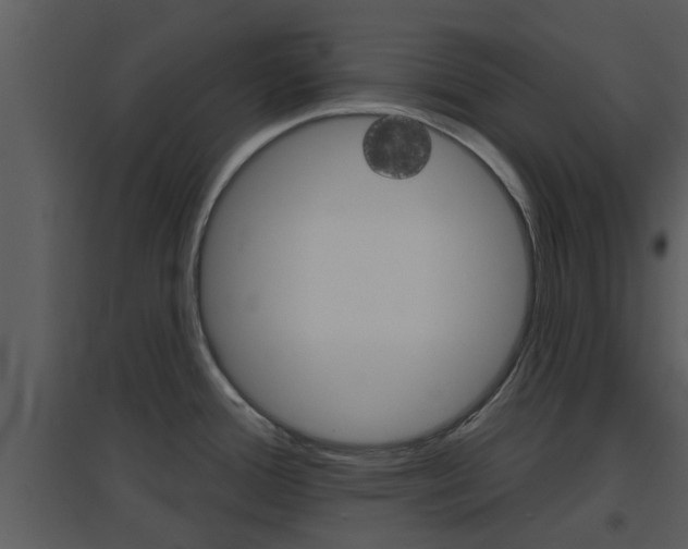 X0000094791388200711160906
