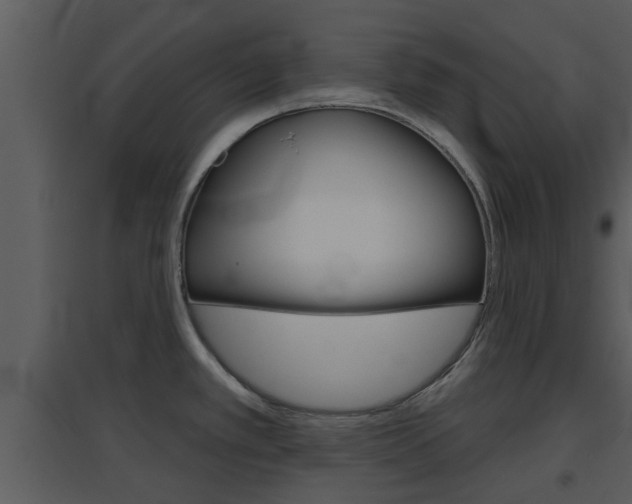 X0000094791389200711160906