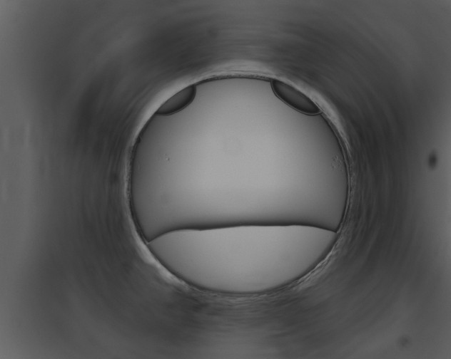 X0000094791390200711160906
